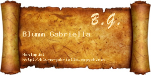 Blumm Gabriella névjegykártya